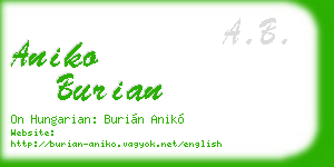 aniko burian business card