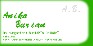 aniko burian business card